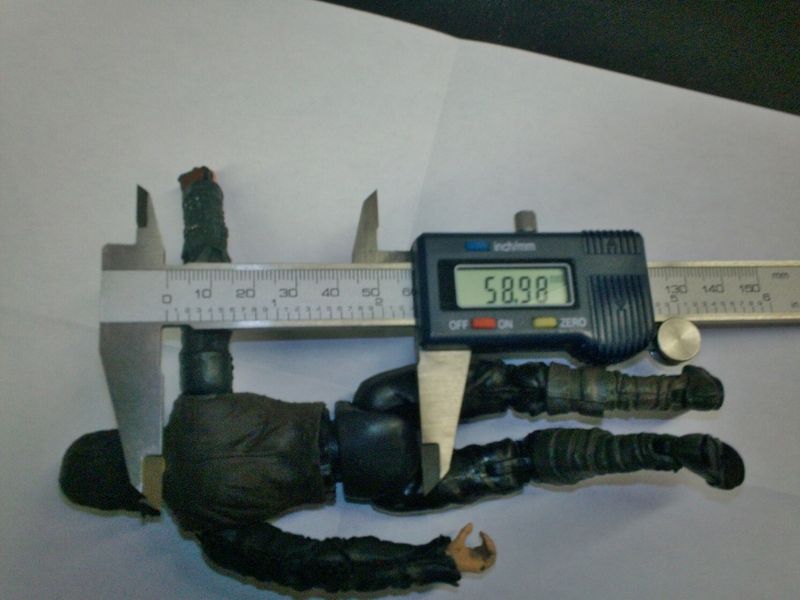 100_1270.jpg