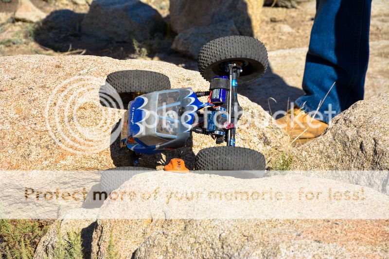 DSC_7362.jpg