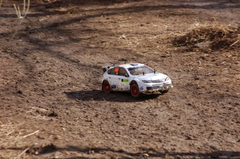 DSC_4145.jpg