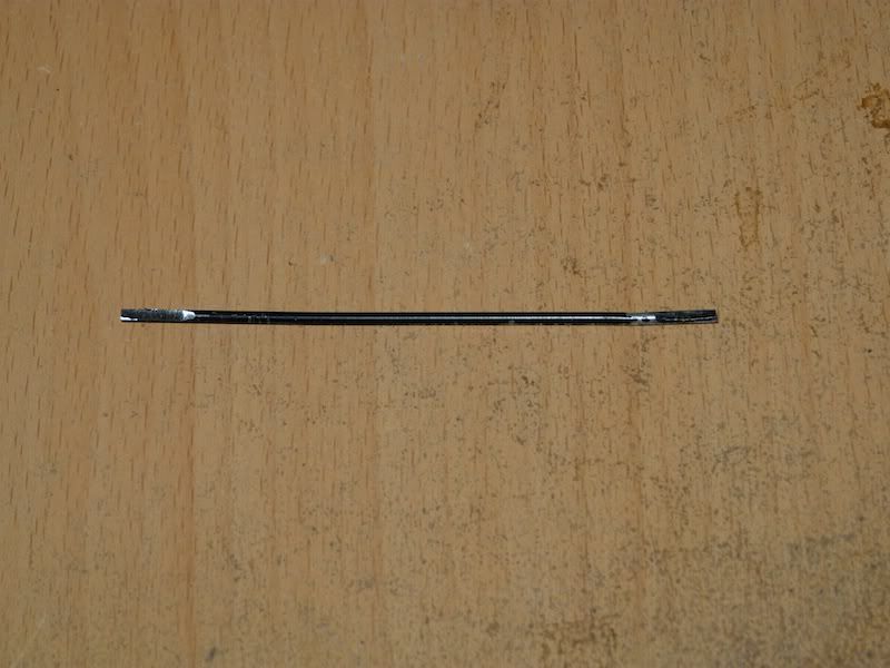 P1000137.jpg