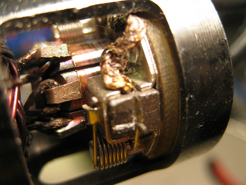 IMG1811-L.jpg