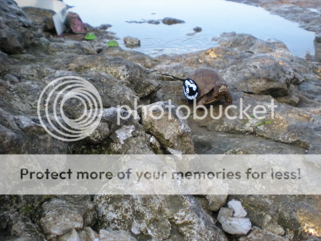 DSCN3641.jpg