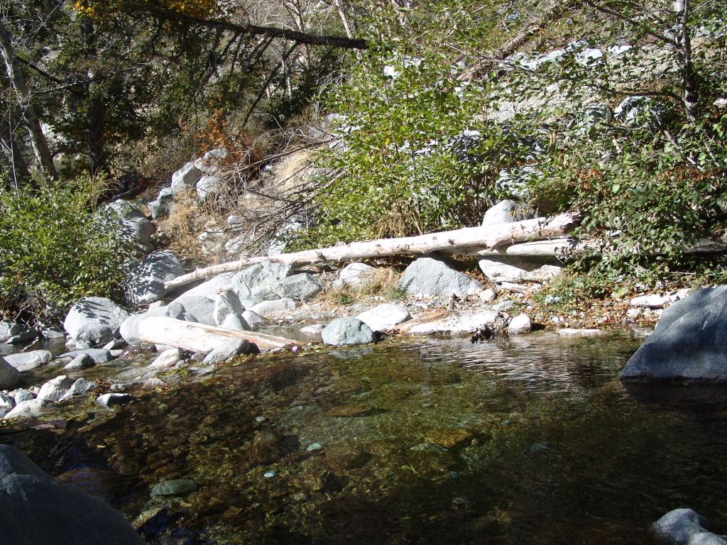 DSC09862.jpg