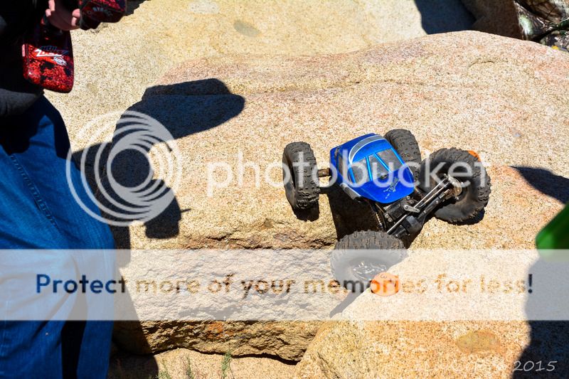 DSC_7399.jpg