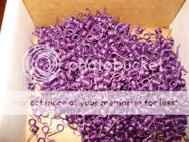 Moreebayfindings004.jpg