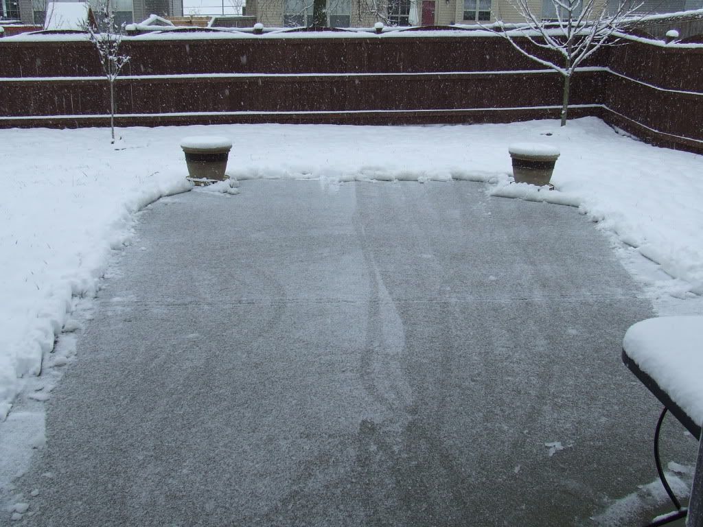 DSCF5573.jpg