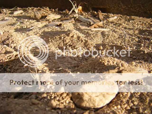 DSCF0504.jpg