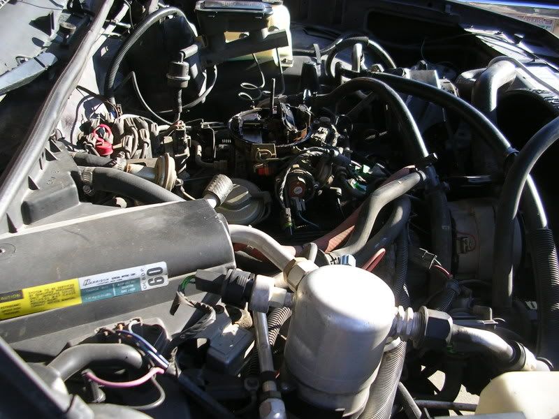 DSCN4221.jpg