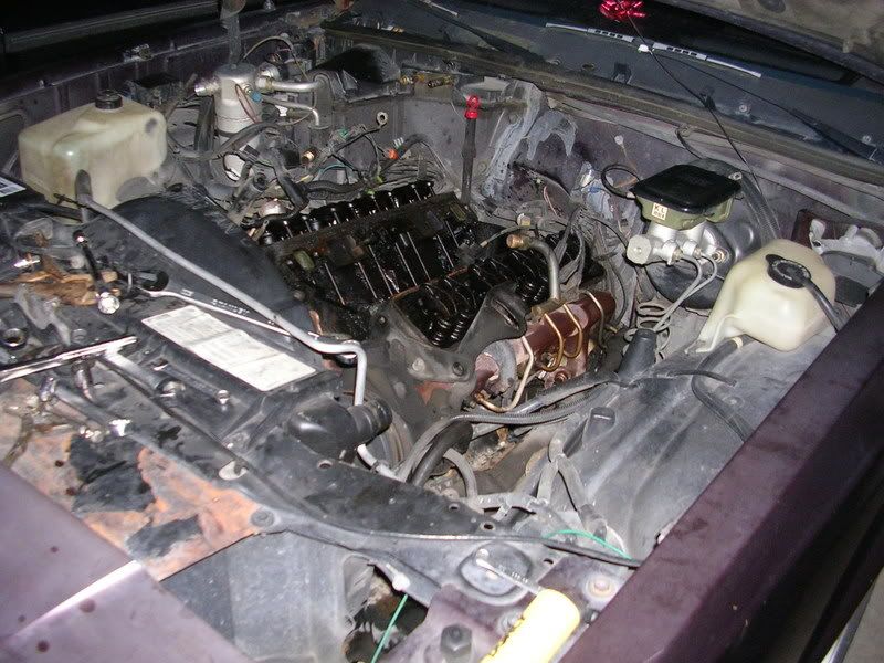 DSCN4239.jpg