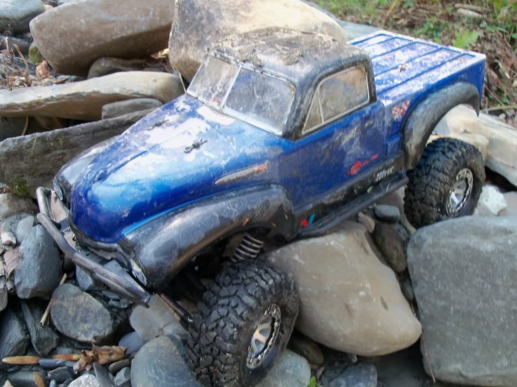 Sunnydaycrawling007.jpg