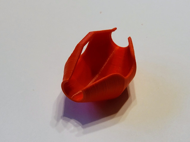1607289225737-1607289216746-20201206-155142-2.jpg