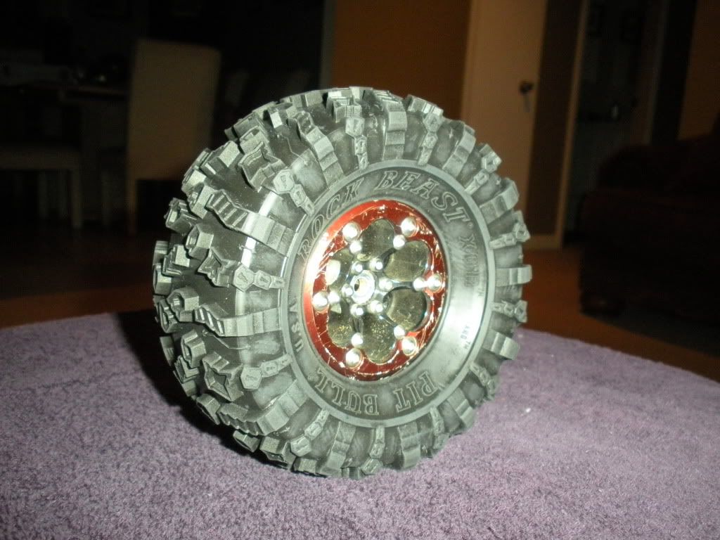 mounted1.jpg