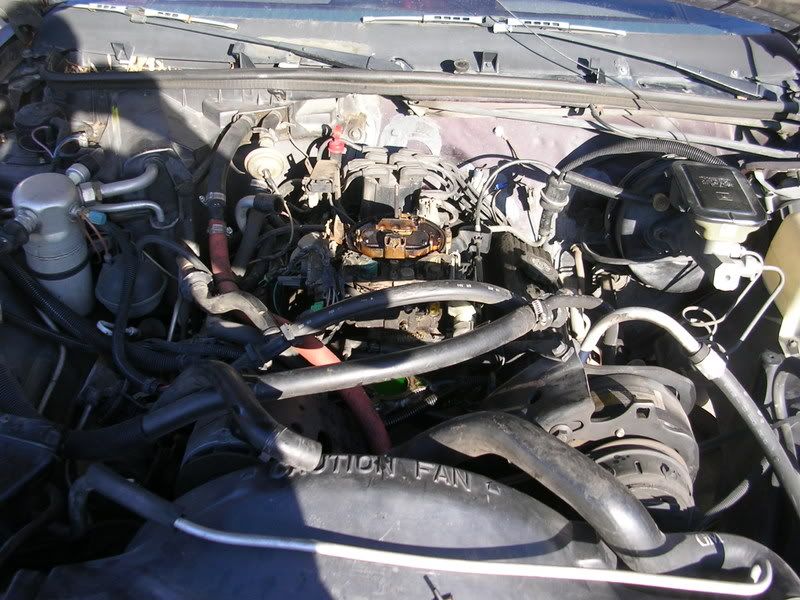 DSCN4218.jpg