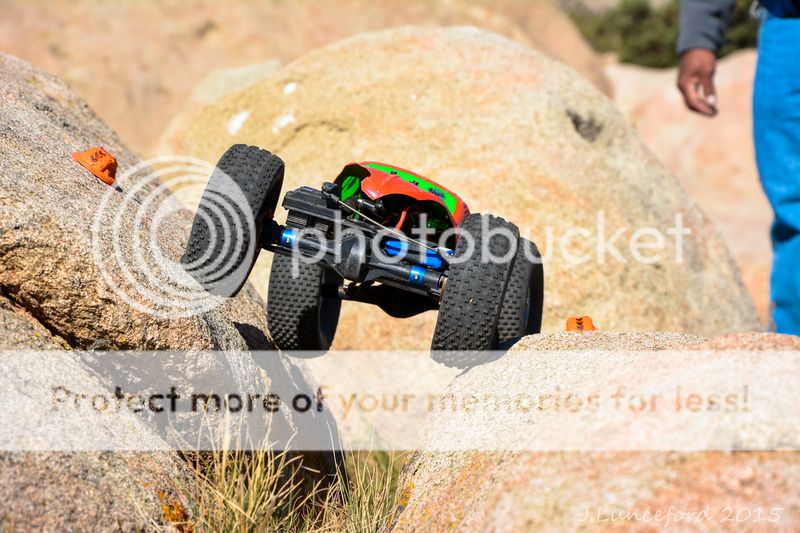 DSC_7443.jpg