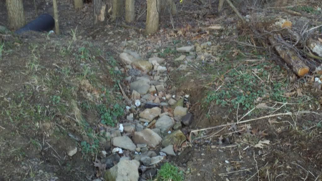 2012-03-13_19-26-38_977.jpg