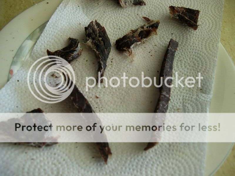 DSCN7940.jpg