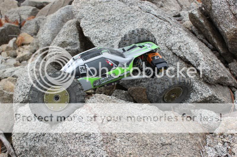 IMG_2072Medium.jpg