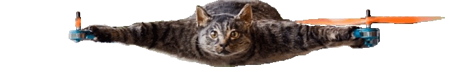 catcopter3.gif