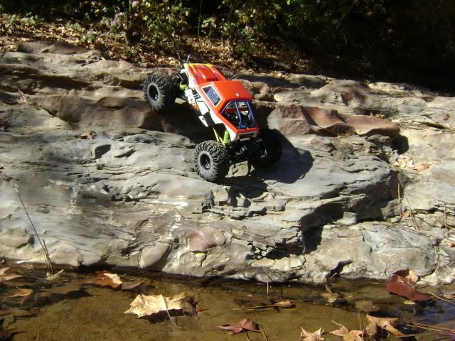 DSC03605.jpg