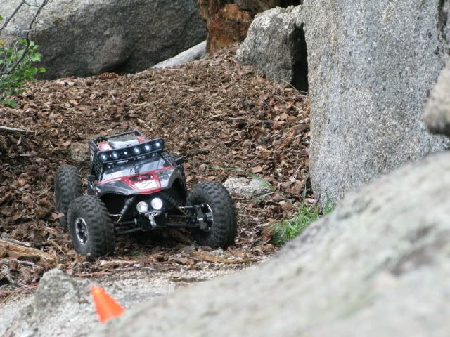 IMG_4987.jpg