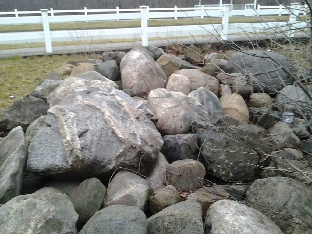 2013-03-11095733_zps4e06f9c7.jpg