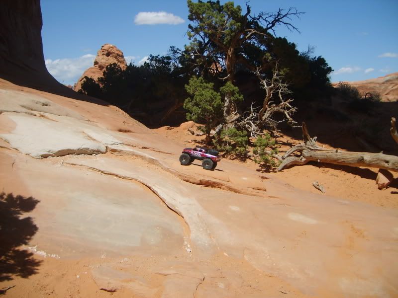 S5003842.jpg