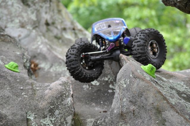 DSC_3138.jpg