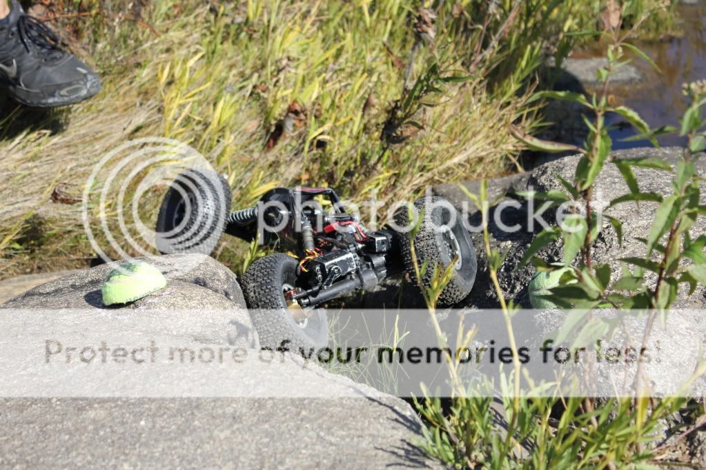 IMG_1707.jpg