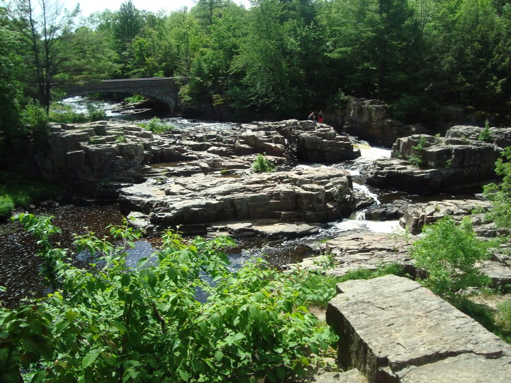 DSC00936.jpg