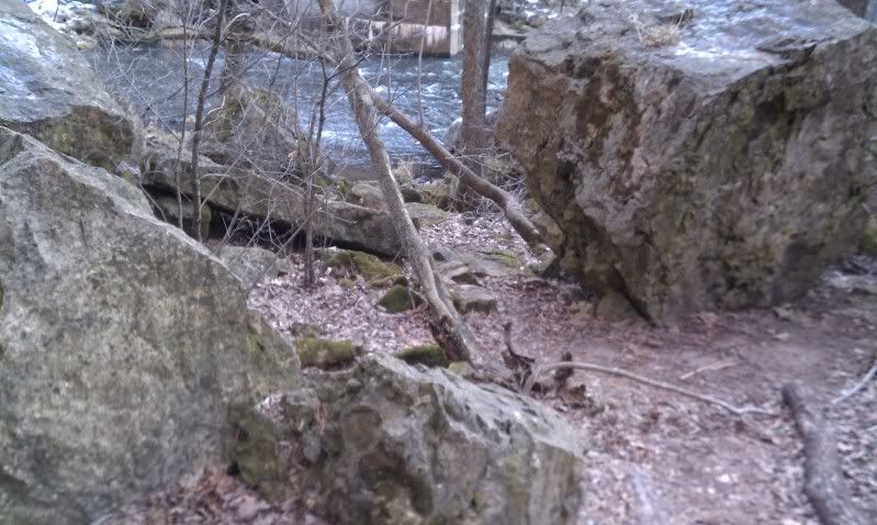 IMAG0186.jpg