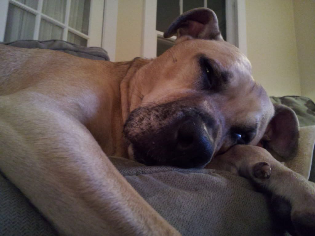 cooper_sleep.jpg