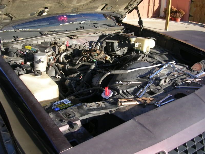 DSCN4223.jpg