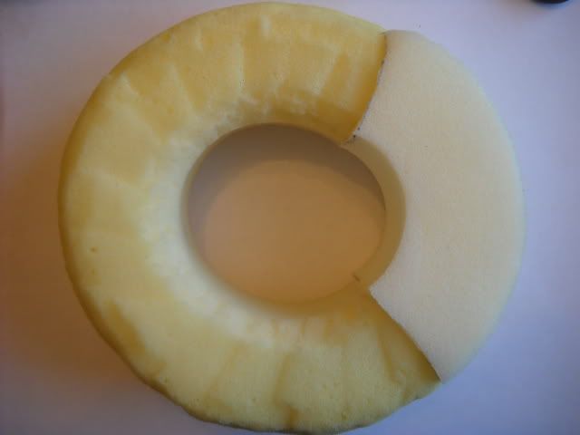 DSCN4478.jpg