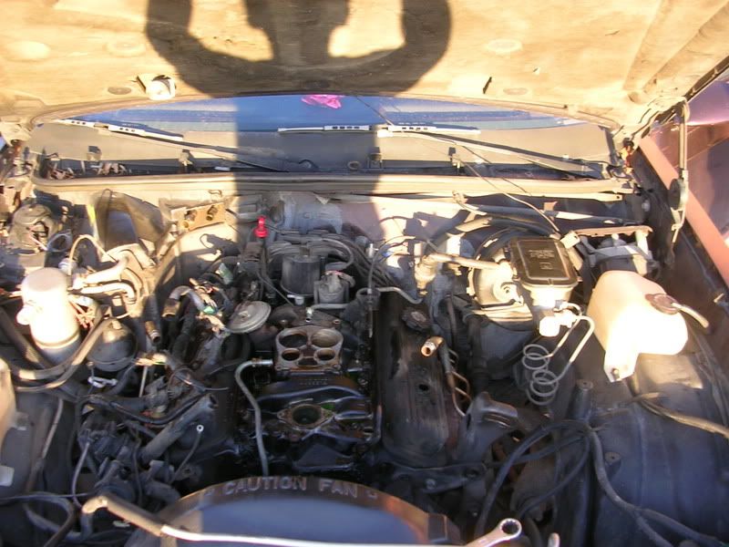 DSCN4235.jpg