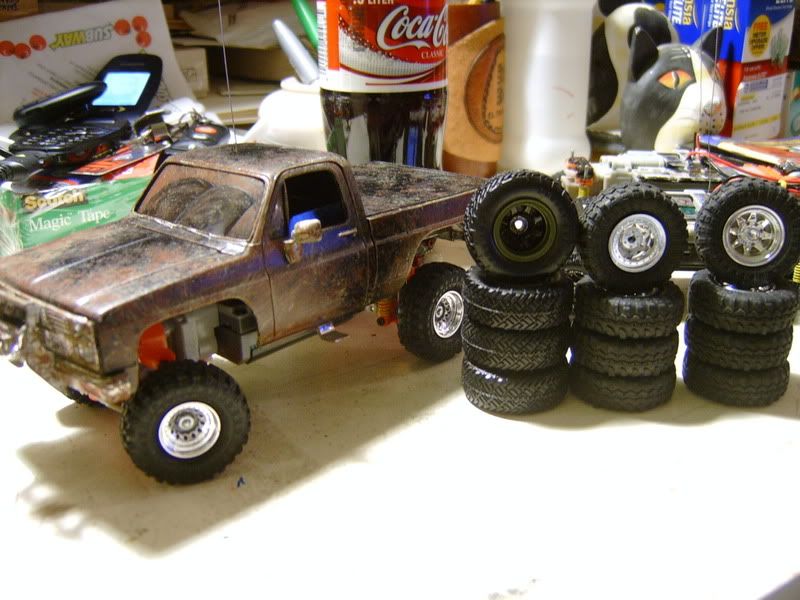 S5301679.jpg