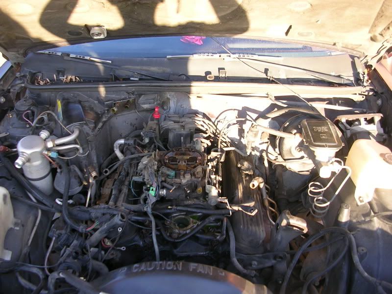 DSCN4228.jpg