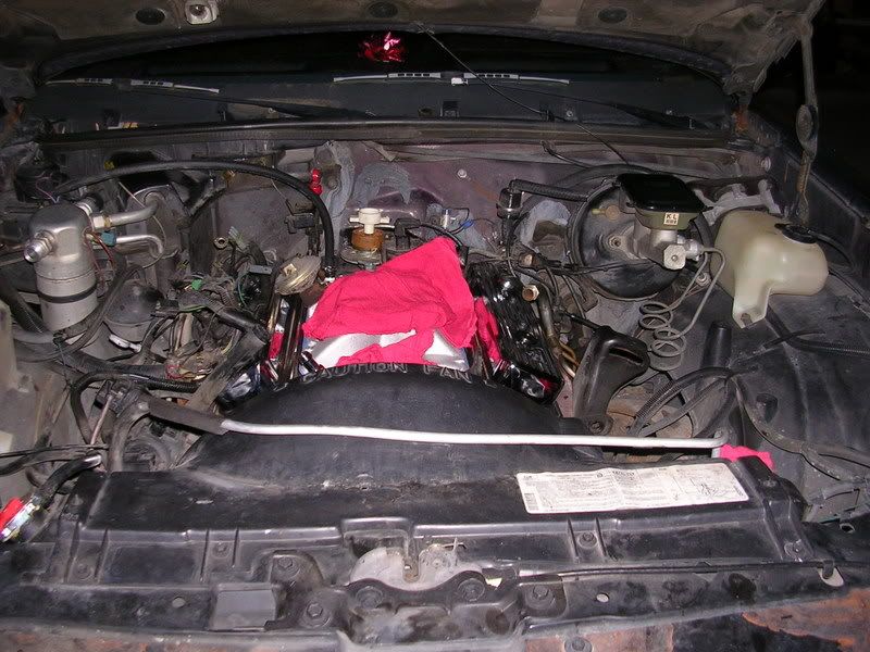 DSCN4245.jpg