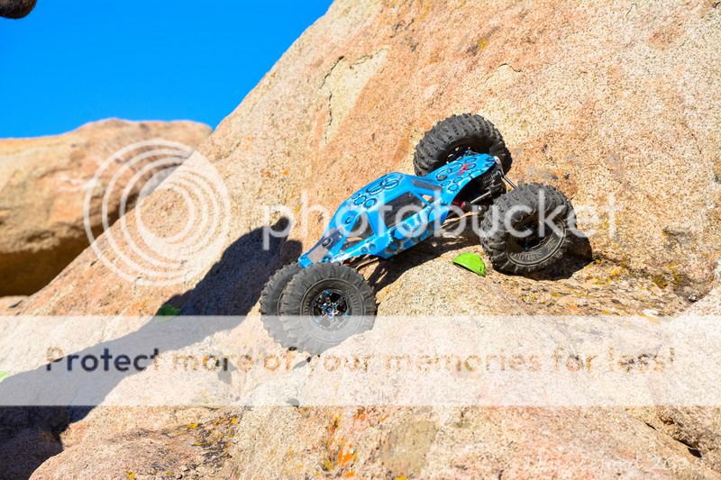 DSC_7487.jpg