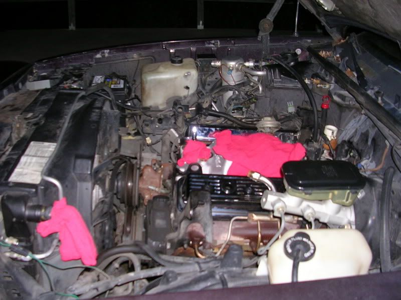 DSCN4247.jpg