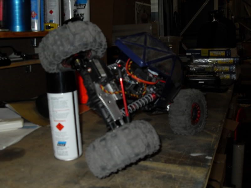 SDC11614.jpg