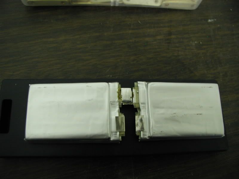 P1010108-1.jpg
