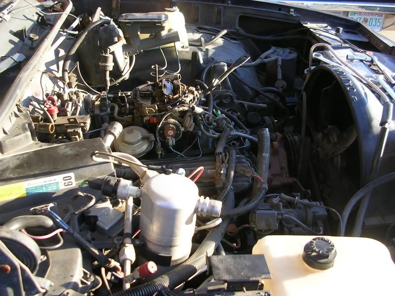 DSCN4231.jpg