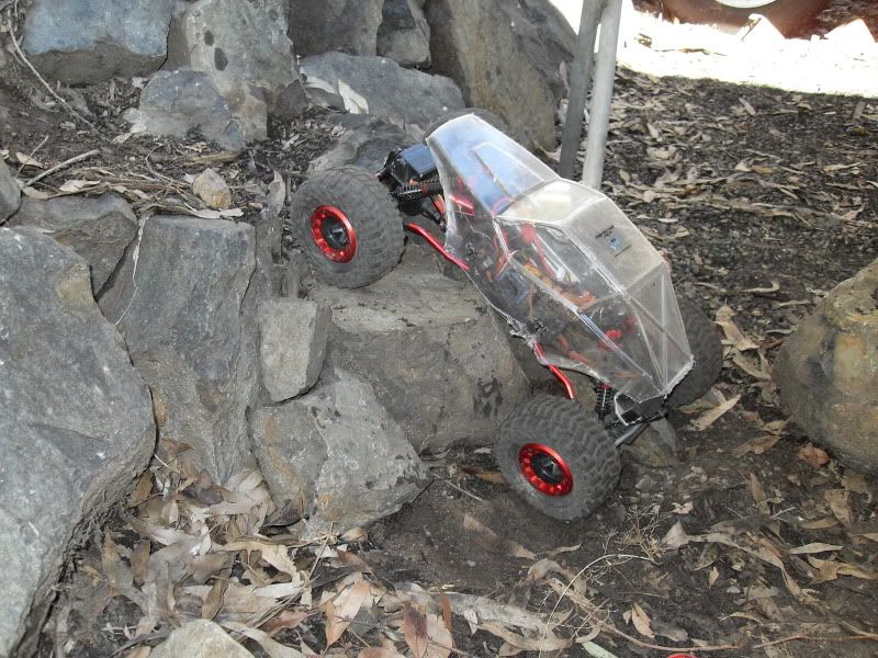 SDC11411.jpg