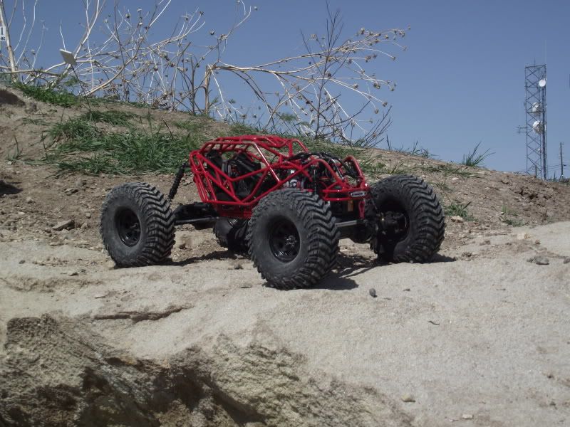 compandbuildpics001.jpg