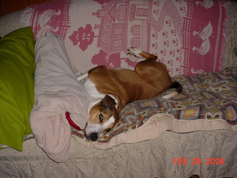 06mitzi001.jpg