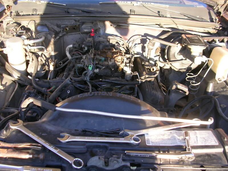 DSCN4229.jpg