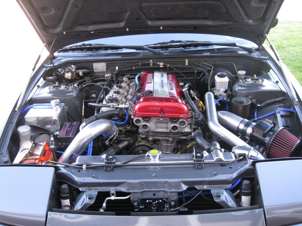 IMG_1742_zps5488becc.jpg