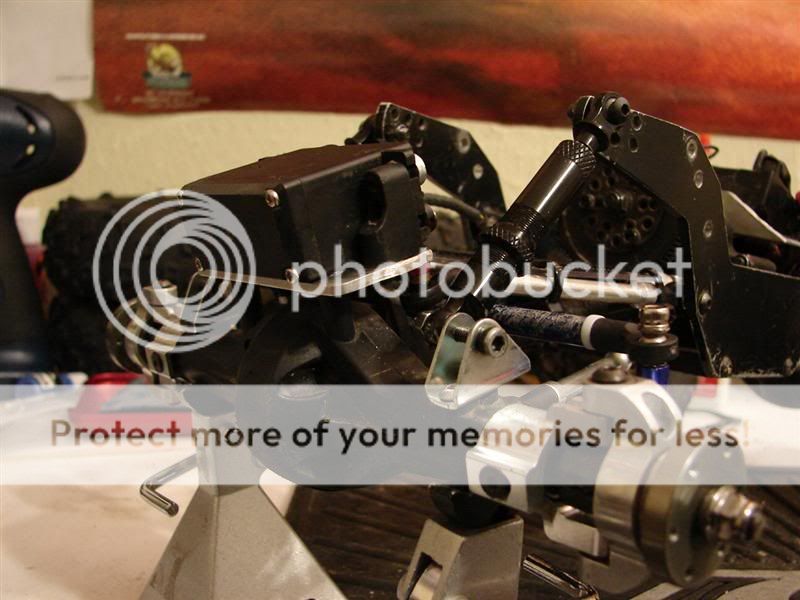 Picture440Medium.jpg