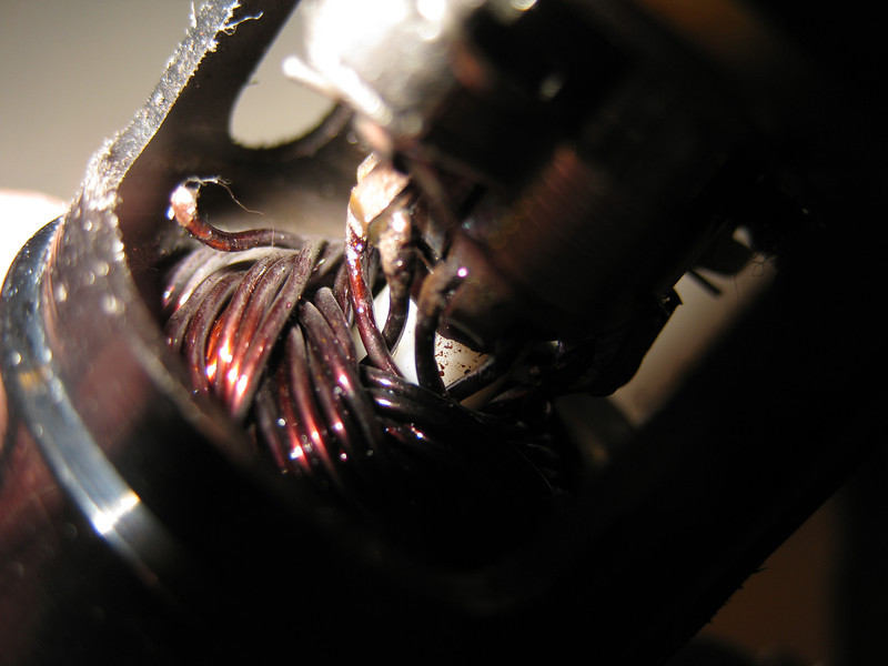 IMG1816-L.jpg