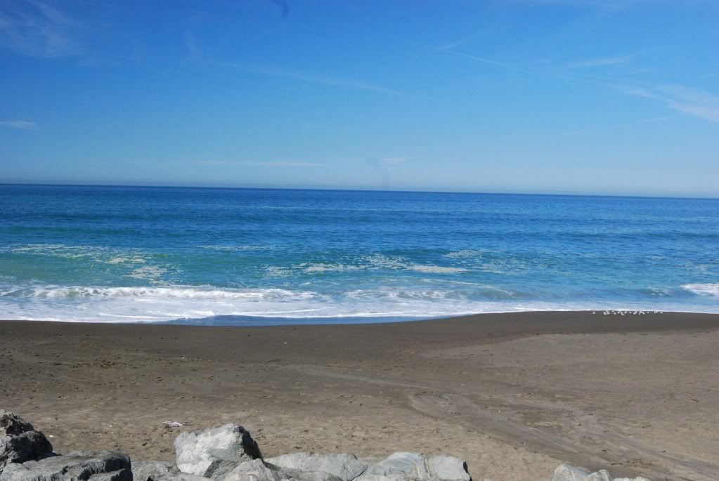 DSC_0230.jpg